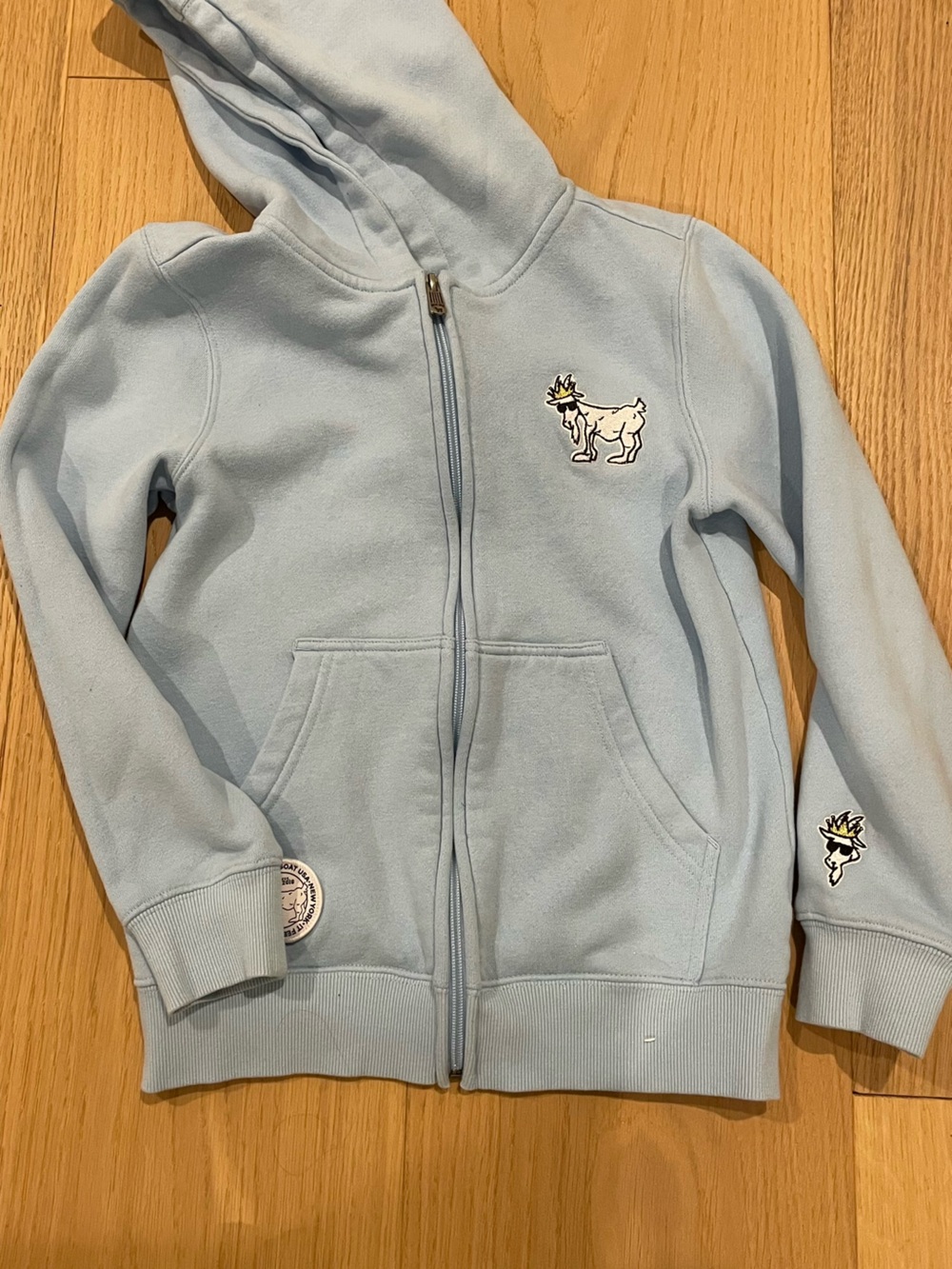 Kids Light Blue Zip-Up Hoodie with Embroidered Goat Patch